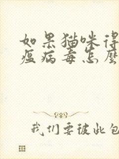 如果猫咪得了猫瘟病毒怎么办