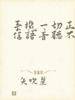 手机一切正常微信语音听不见声音