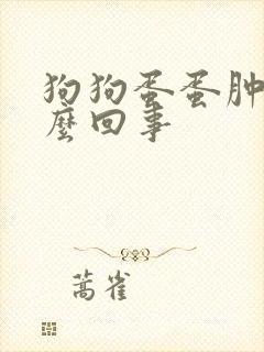 狗狗蛋蛋肿了怎么回事