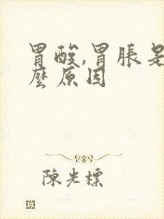 胃酸,胃胀是什么原因