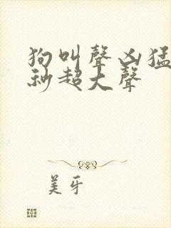 狗叫声凶猛60秒超大声