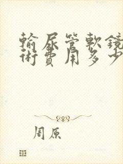 输尿管软镜碎石术费用多少