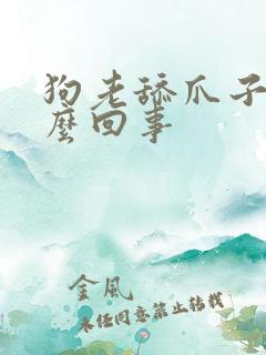 狗老舔爪子是怎么回事