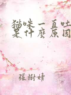 猫咪一直吐黄水是什么原因