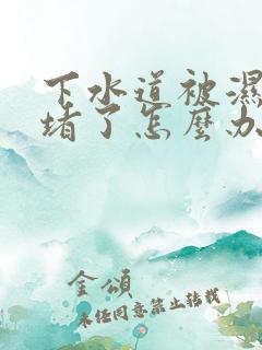 下水道被湿纸巾堵了怎么办