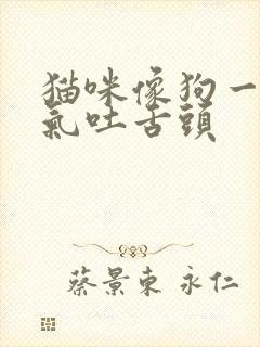 猫咪像狗一样喘气吐舌头