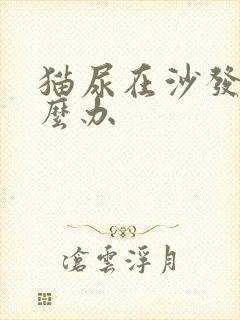 猫尿在沙发上怎么办