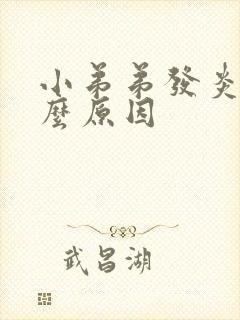 小弟弟发炎是什么原因