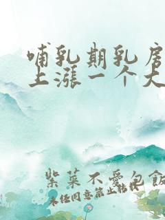 哺乳期乳房一晚上涨一个大硬块