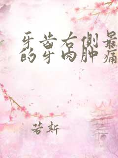 牙齿右侧最里面的牙肉肿痛怎么办