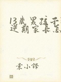 13岁男孩子叛逆期家长怎么做