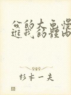 公的大龟慢慢挺进我的体内