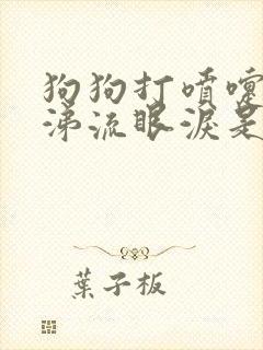 狗狗打喷嚏流鼻涕流眼泪是怎么回事