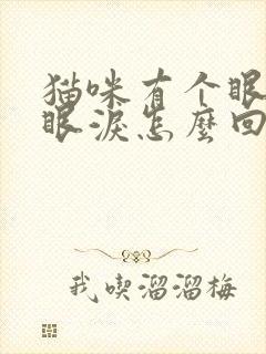 猫咪有个眼睛流眼泪怎么回事