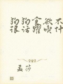 狗狗食欲不振但很活跃吃什么药