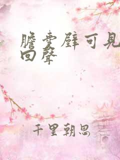 胆囊壁可见偏强回声