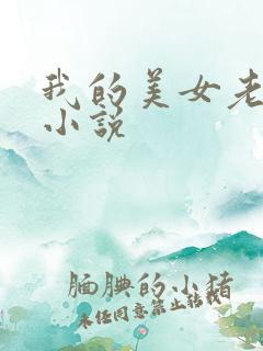 我的美女老板 小说