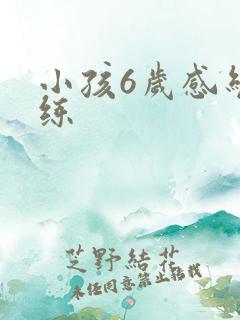 小孩6岁感统训练