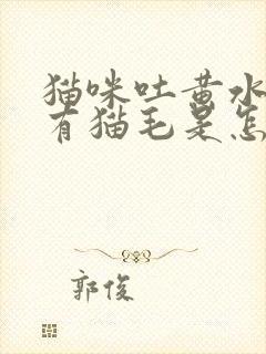 猫咪吐黄水里面有猫毛是怎么回事