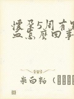 怀孕5周有点出血怎么回事