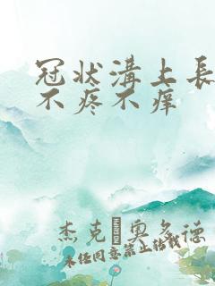 冠状沟上长疙瘩不疼不痒