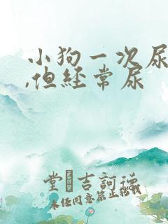 小狗一次尿一点,但经常尿