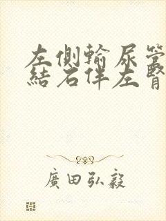 左侧输尿管上段结石伴左肾轻度积水