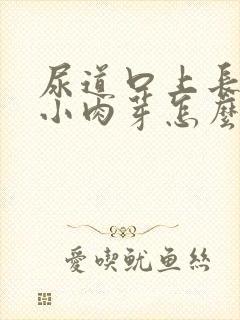 尿道口上长了个小肉芽怎么回事