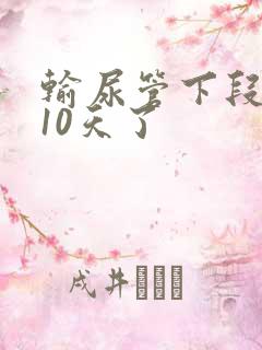 输尿管下段结石10天了