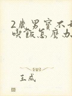 2岁男宝不好好吃饭怎么办