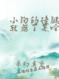 小狗的后腿突然就瘸了是啥原因