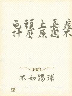 龟头上长痘痘是什么原因不痛不痒