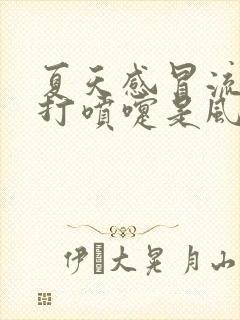 夏天感冒流鼻涕打喷嚏是风寒还是风热