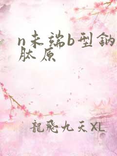 n未端b型钠尿肽原