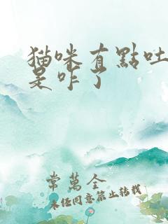 猫咪有点吐白沫是咋了