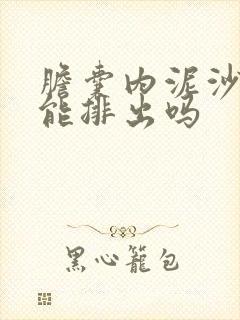 胆囊内泥沙结石能排出吗