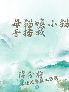 母猫唤小猫的声音播放