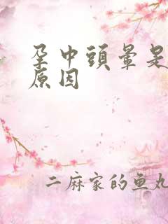 孕中头晕是什么原因