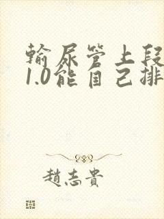 输尿管上段结石1.0能自己排出来吗