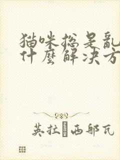 猫咪总是乱尿有什么解决方法