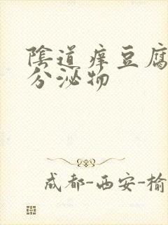 阴道痒豆腐渣样分泌物