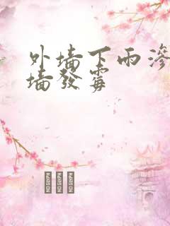 外墙下雨渗水内墙发霉