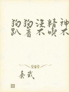 狗狗没精神一直趴着不吃不喝