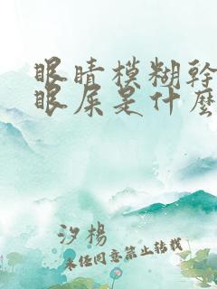 眼睛模糊干涩有眼屎是什么原因引起的