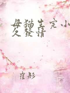 母猫生完小猫多久发情