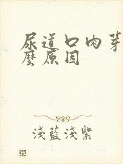 尿道口肉芽是什么原因