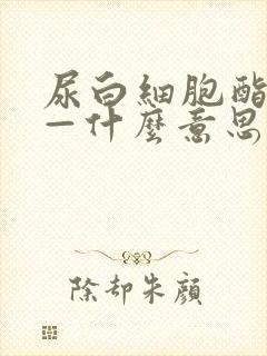 尿白细胞酯酶 —什么意思