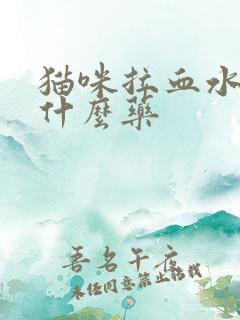 猫咪拉血水该吃什么药