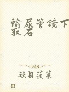 输尿管镜下碎石取石