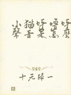 小猫呼噜呼噜的声音是怎么回事